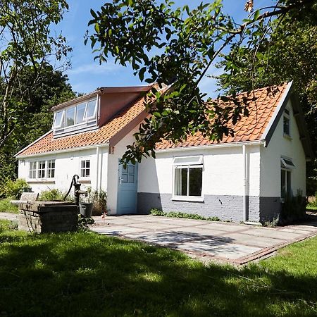 Cottage Duinroos - Dune Rose Остворне Екстер'єр фото