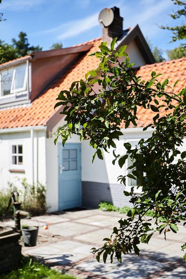 Cottage Duinroos - Dune Rose Остворне Екстер'єр фото