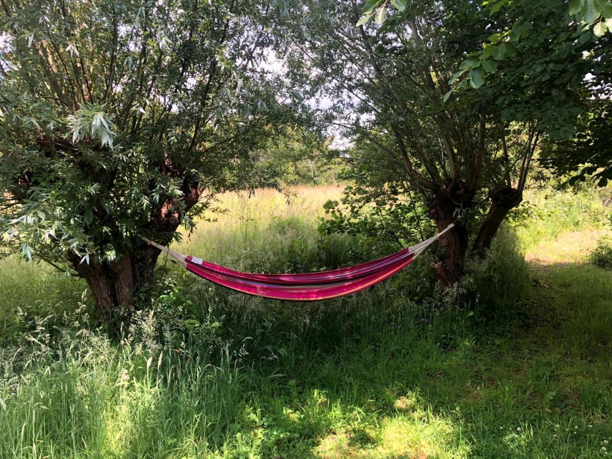 Cottage Duinroos - Dune Rose Остворне Екстер'єр фото